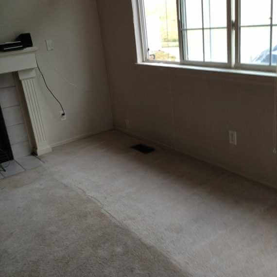 Before & After Carpet Cleaning