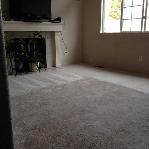 Carpet Cleaning