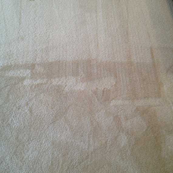 Before & After Images